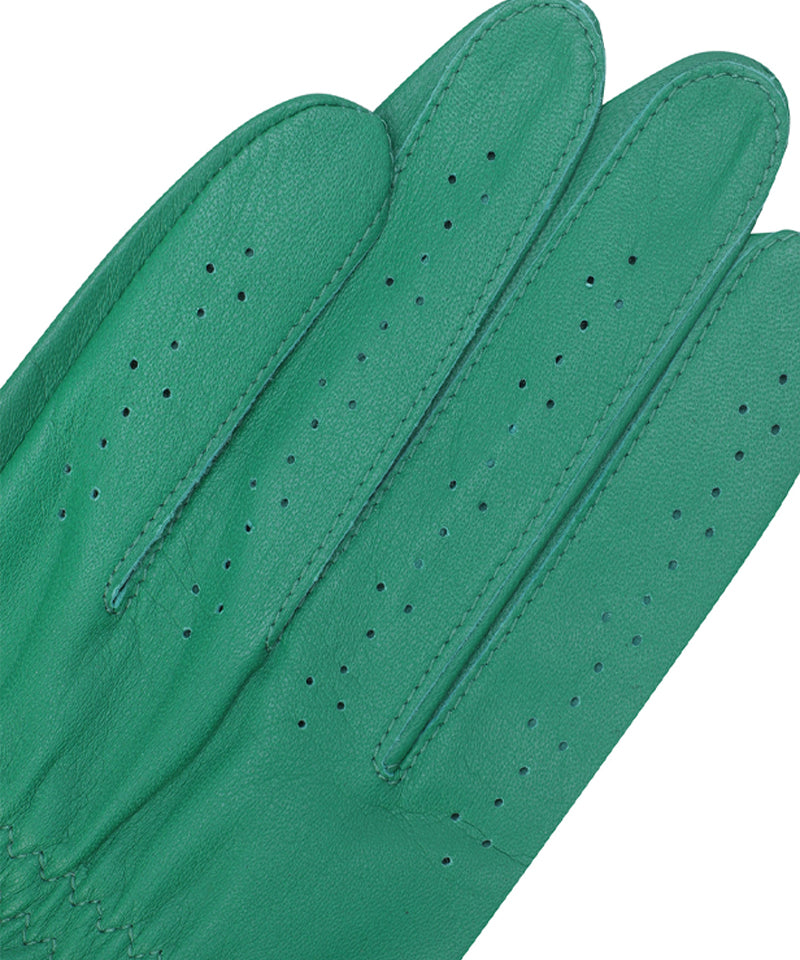 ANEW Golf Men's LH Lambskin Glove - Green