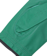 ANEW Golf Men's LH Lambskin Glove - Green