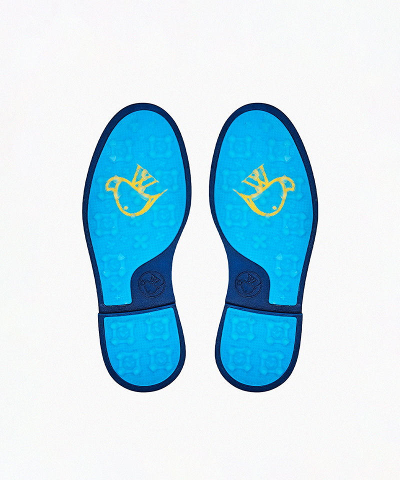 AVVES Men's Phoenix - Blue