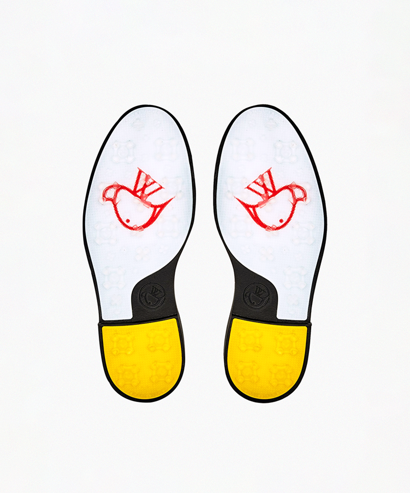 AVVES Women's Phoenix - Black