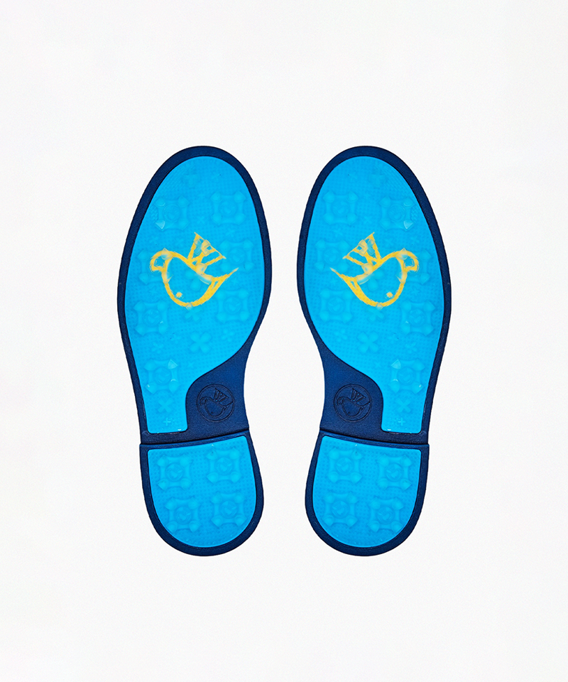 AVVES Women's Phoenix Crocodile - Navy