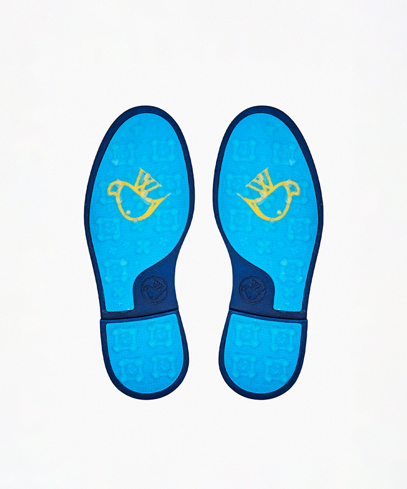 AVVES Women's Swan - Blue