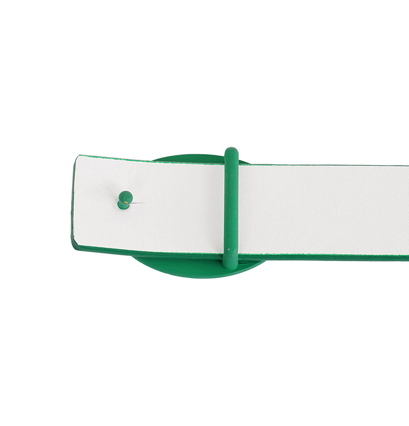 Castelbajac Women's Reversible Belt - Green