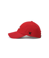 ANEW Volume Logo Ball Cap - 3 Colors