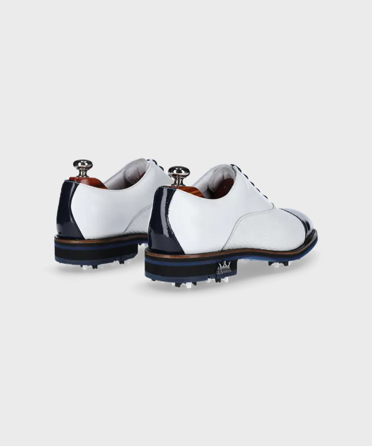 Shoe Clean + Care • Lambda Golf ®