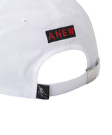 ANEW Volume Logo Ball Cap - 3 Colors